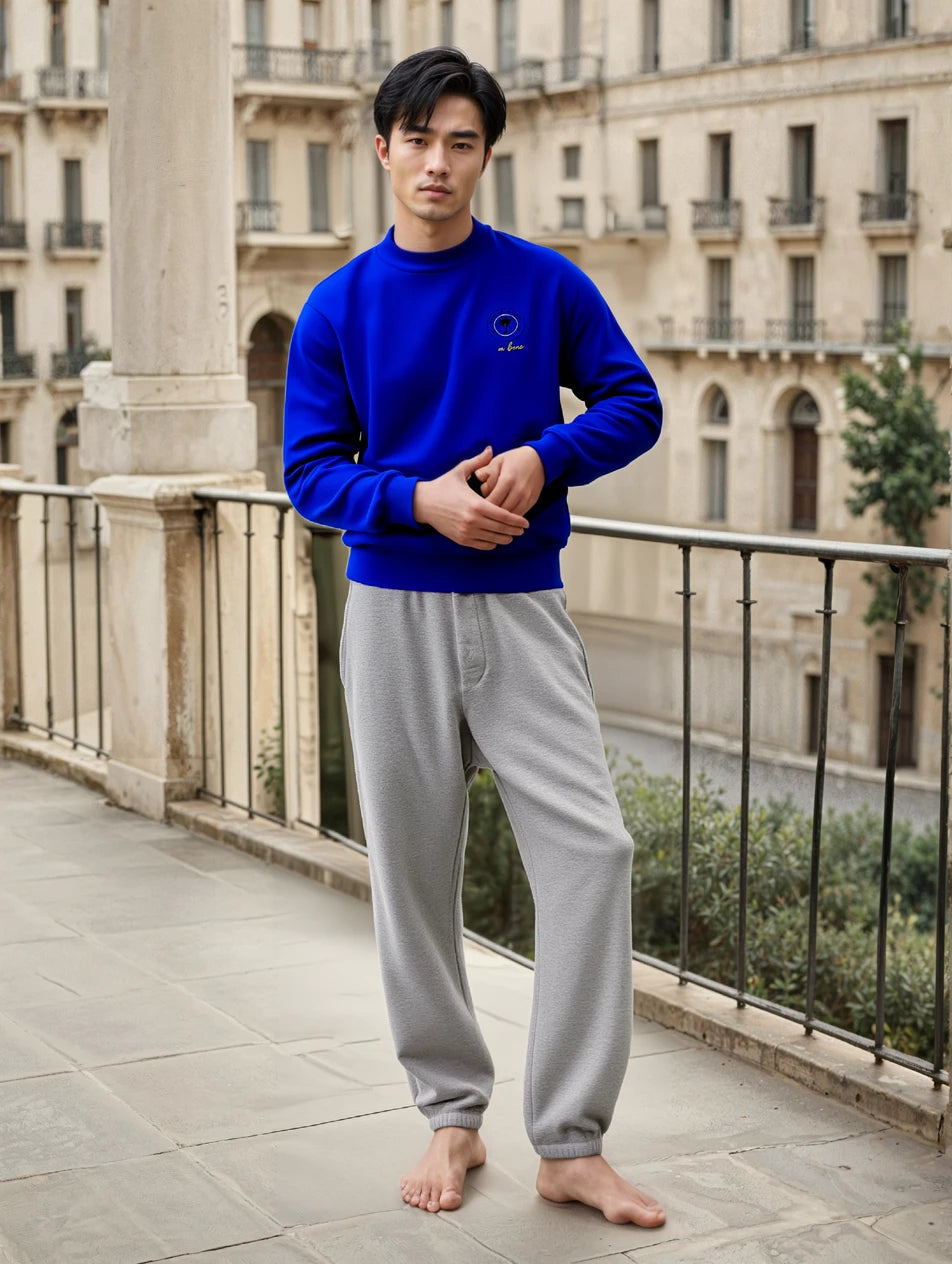 Herren Premium Bio Sweatshirt verschiedene Farben